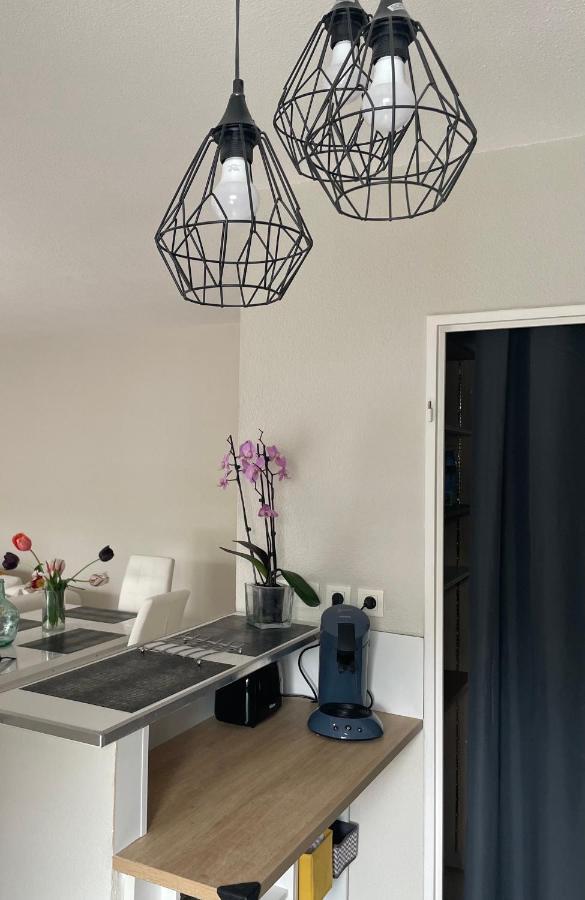 Le Lotois Les Ondines Apartment Souillac Luaran gambar